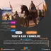 اکانت قانونی Mount & Blade II: Bannerlord برای PS5 & PS4